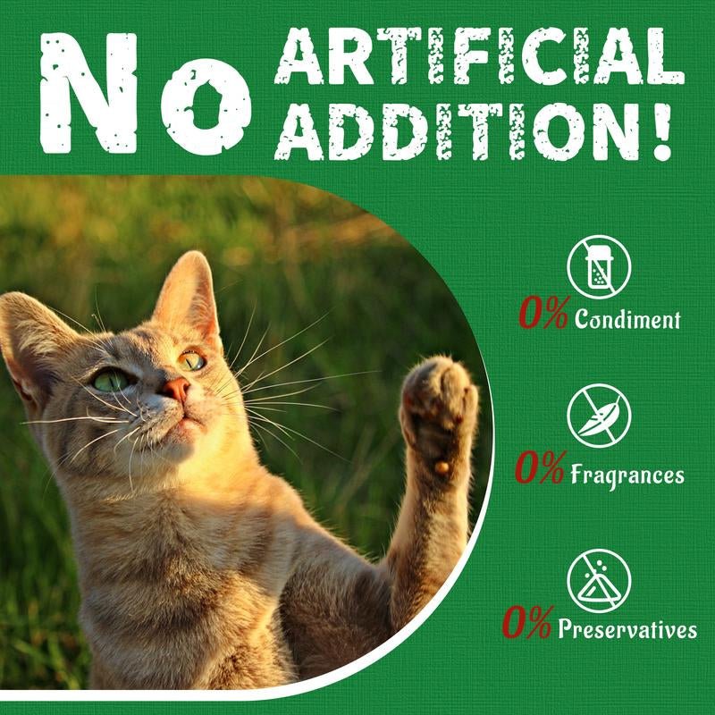 【Live Deal 】JUST TRY Cat Grass Treats and Hairball Solutions - Simply_Atlas