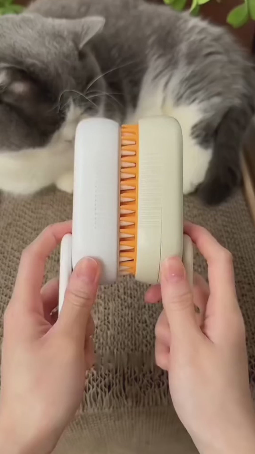 Rechargeable Hair Spray Essential Oil Steam Brush for Cat, Dog